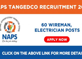 NAPS TANGEDCO Recruitment 2021